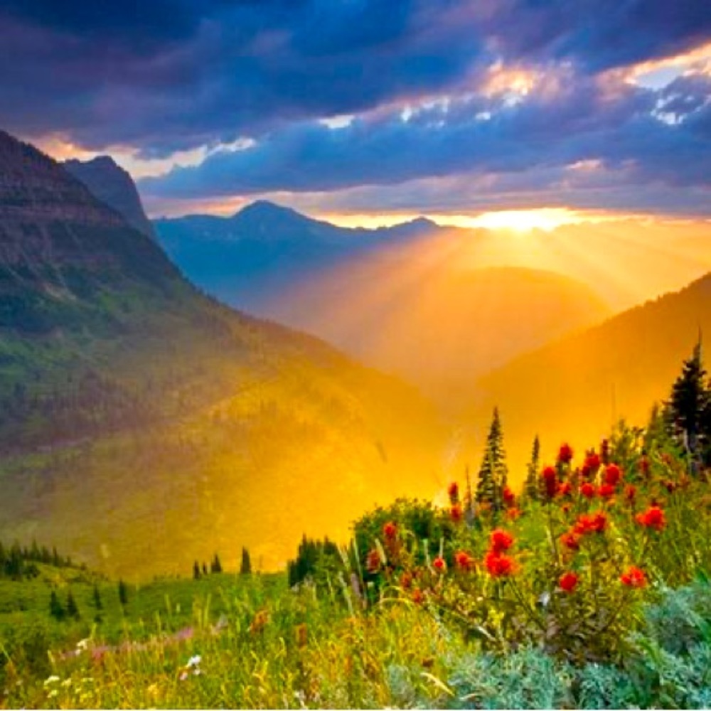 Meet your Posher, Rita